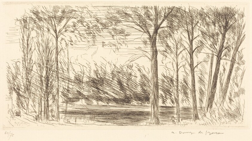 Crayfish Pond, Chaville  (Chaville l'etang des ecrevisses)