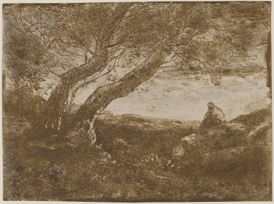 The image shows a low perspective view looking upwards at a strong, leaning tree arching across the scene towards the right. The horizon is relatively high, above the center line, with rolling hills stretching into the distance. A solitary figure is seated on a rock to the right, looking out at the landscape. The trees and land are depicted with textured brushstrokes, emphasizing details in the bark and foliage. The color palette is primarily sepia tones, creating a warm, monochromatic aesthetic. Light filters through, highlighting parts of the landscape and casting others in shadow.
