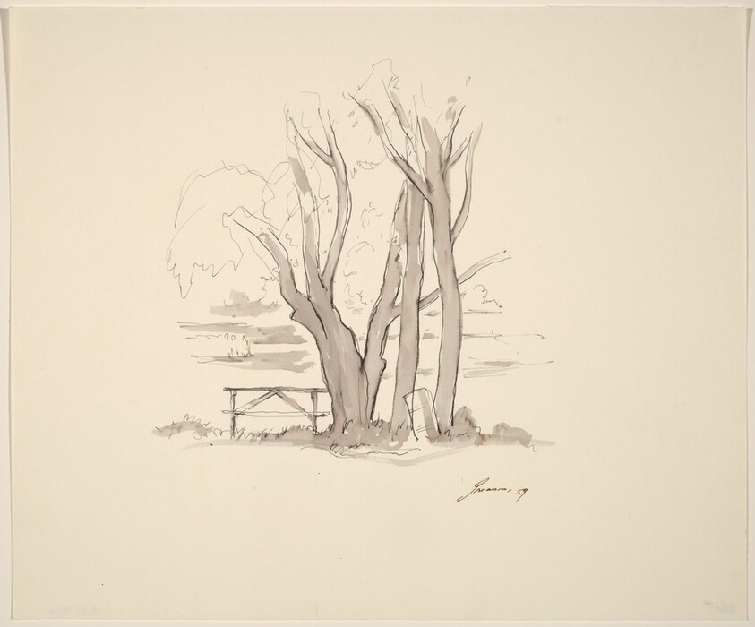 Trees, Picnic Table, Trash Can