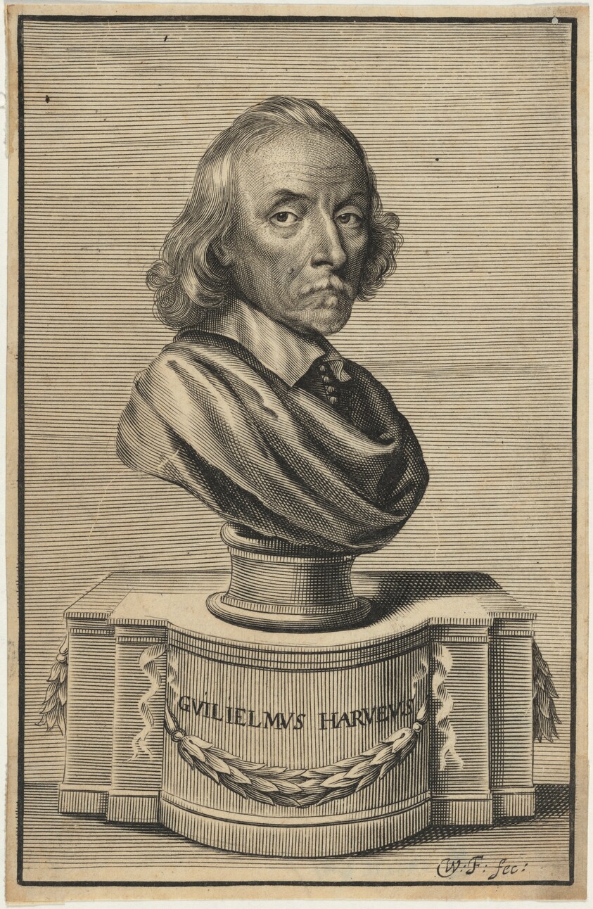 William Harvey, M.D.