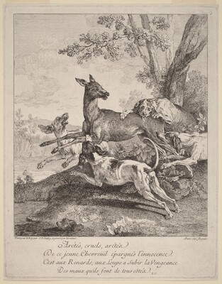 A Deer Attacked by Dogs