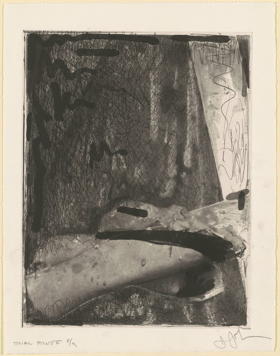 Cicada II [trial proof] by Jasper Johns, Simca Print Artists