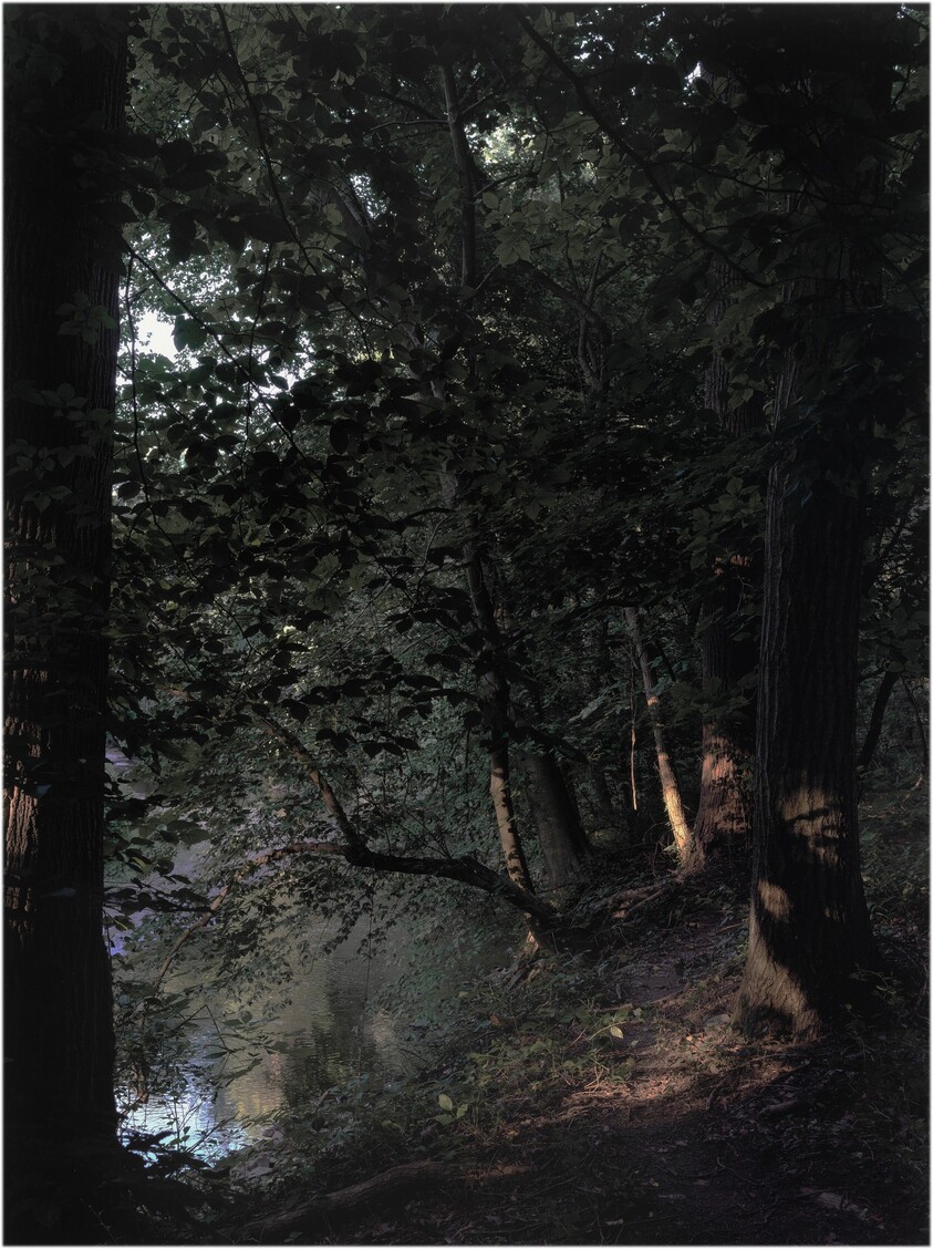 The Last Days of Fontainebleau, #12