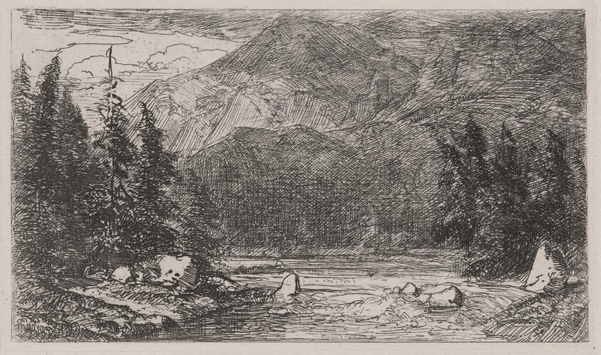 Mountain Stream with Rapids