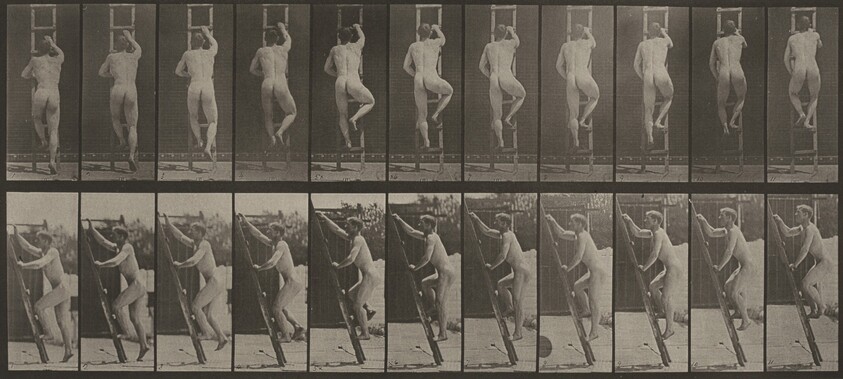 Plate Number 111. Ascending a ladder