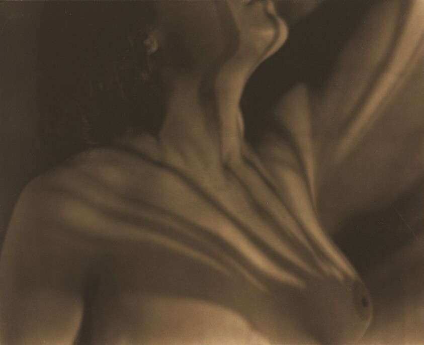 The Breast (The Source)