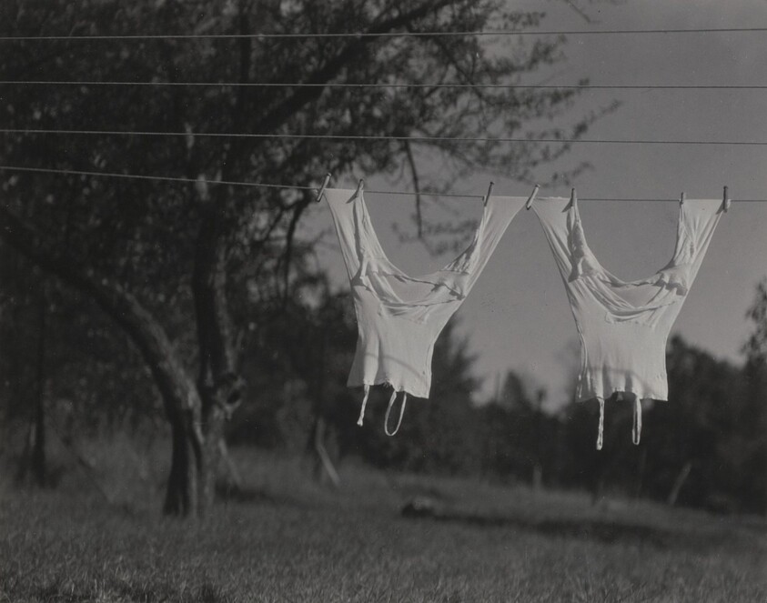 Long Underwear, Lake George