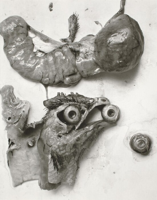 An organic form with rough, textured surfaces is centrally featured in the image. Various shades of gray dominate the scene, creating a monochromatic palette. A bulbous, textured object with a spiky protrusion on its top surface is located in the upper section. Below it, there is a structure reminiscent of a bird-like head with exaggerated eyeballs and feather-like textures, angled slightly to the left. To the right of this structure, a smaller circular element is positioned near the center of the image.