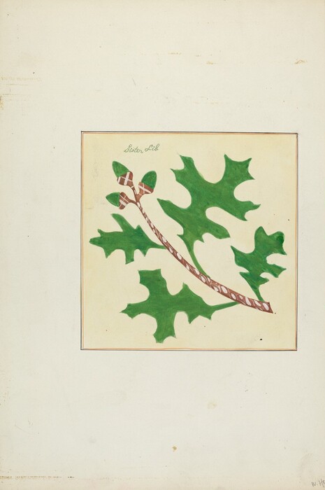 The image shows a large green oak leaf attached to a brown, intricately patterned twig, which is the central focus. The dominant colors are various shades of green for the leaves and brown for the twig, set against a light beige background within a bordered square. Positionally, the leaf and twig are angled from the bottom left to the top right within the bordered square, which is situated centrally on an off-white canvas.