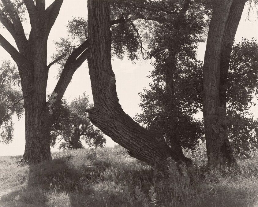 Weld County, Colorado