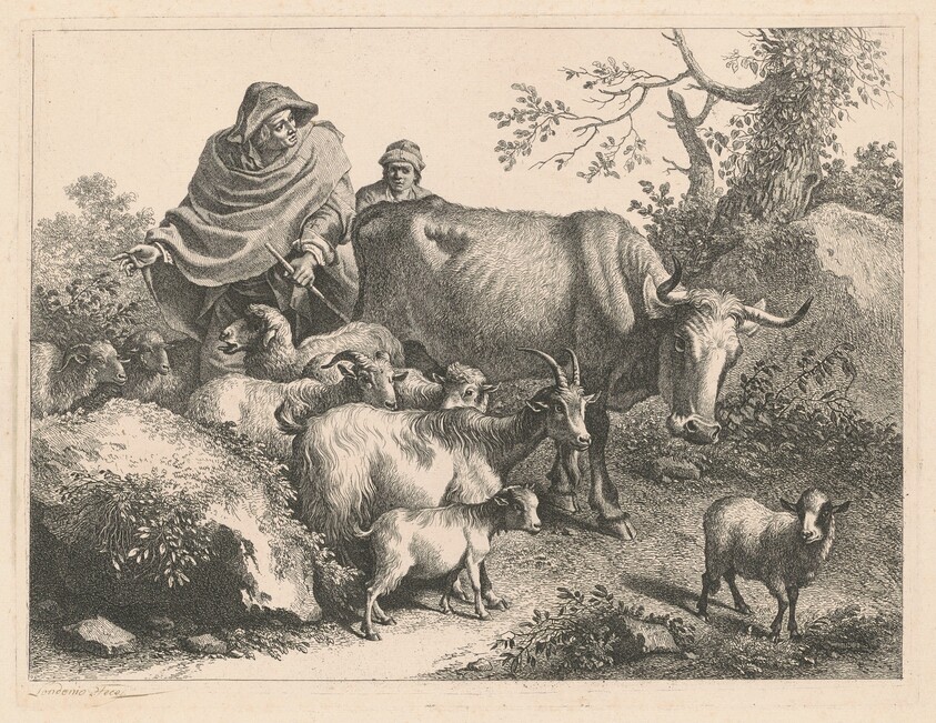 Shepherd Wearing a Cape Driving a Flock