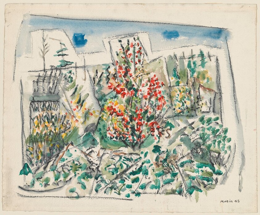 Little Maple in a Swamp