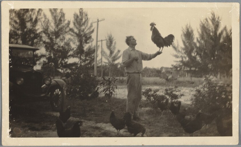"Charlie and rooster crowing"