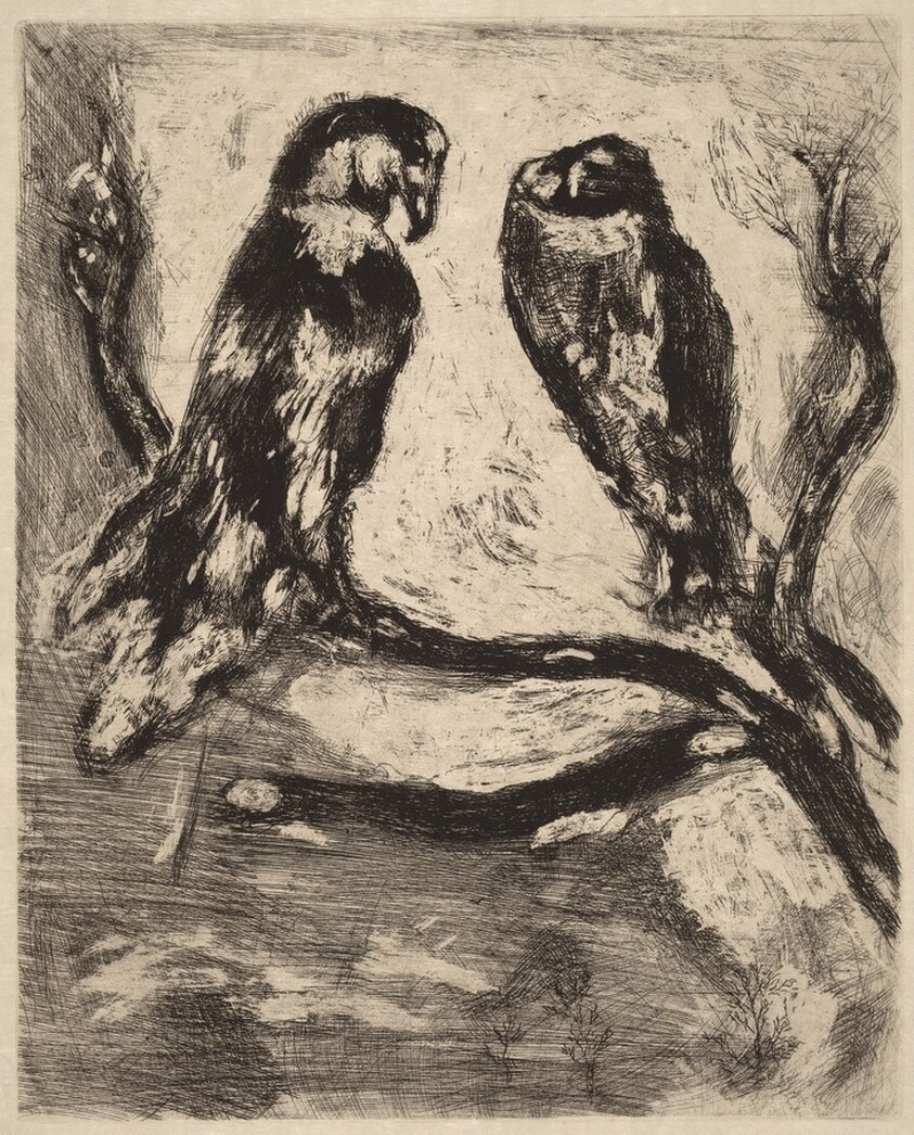 The Eagle and the Owl