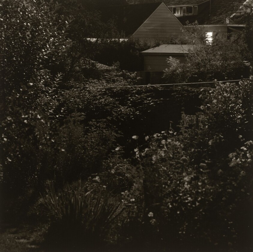 Backyard, Longmont, Colorado