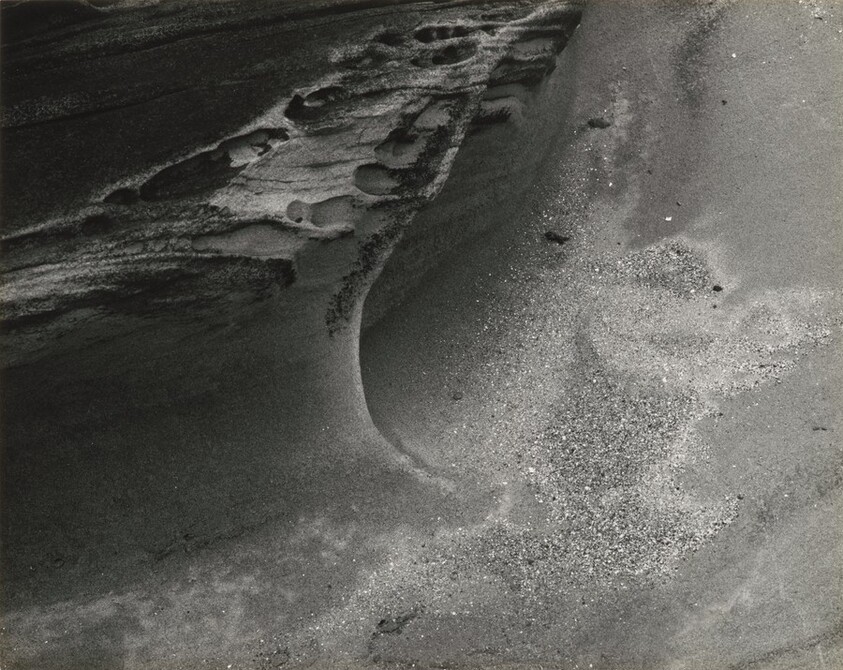 Shore Acres State Park, Oregon