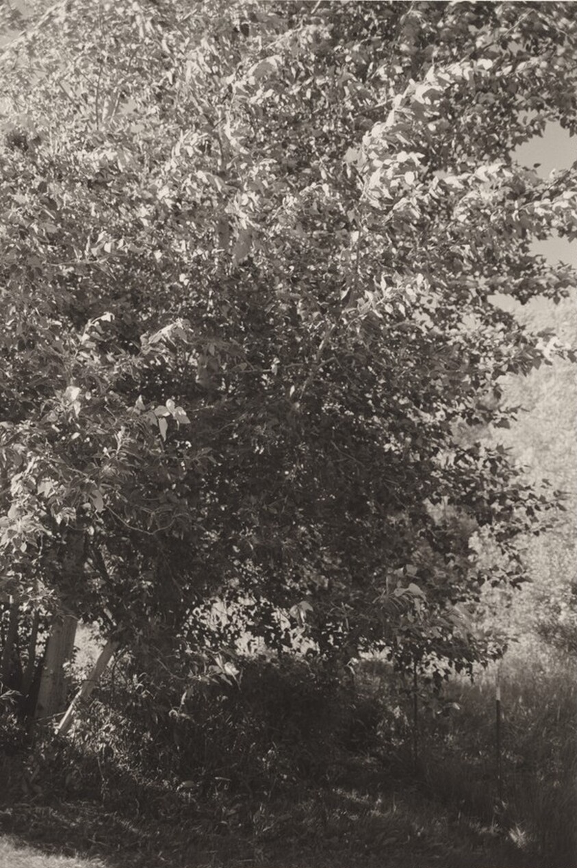 Baker County, Oregon