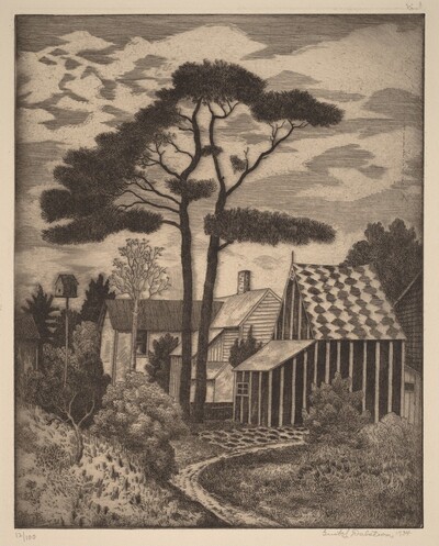 Pine Tree