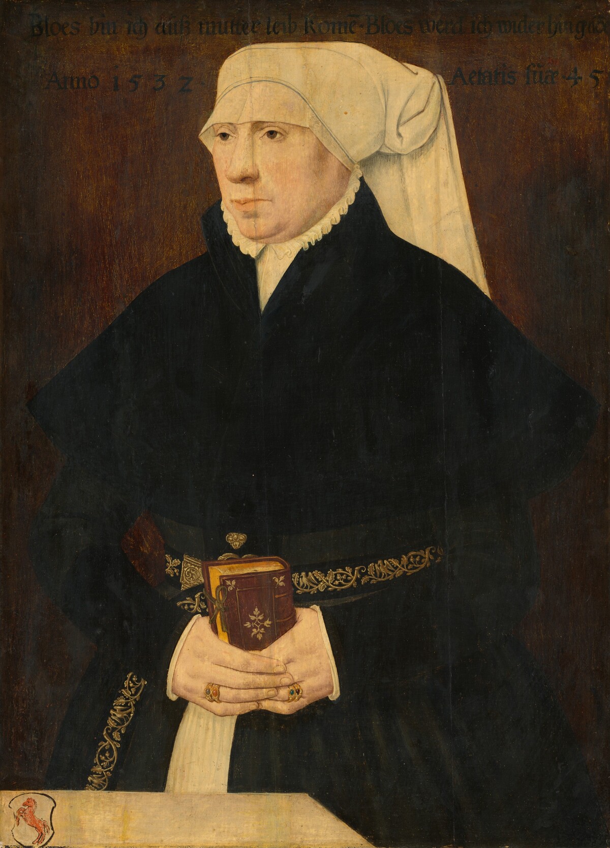 Portrait of a Lady