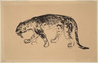 Panther Prowling (Schleichender Panther), Edvard Munch, 1911