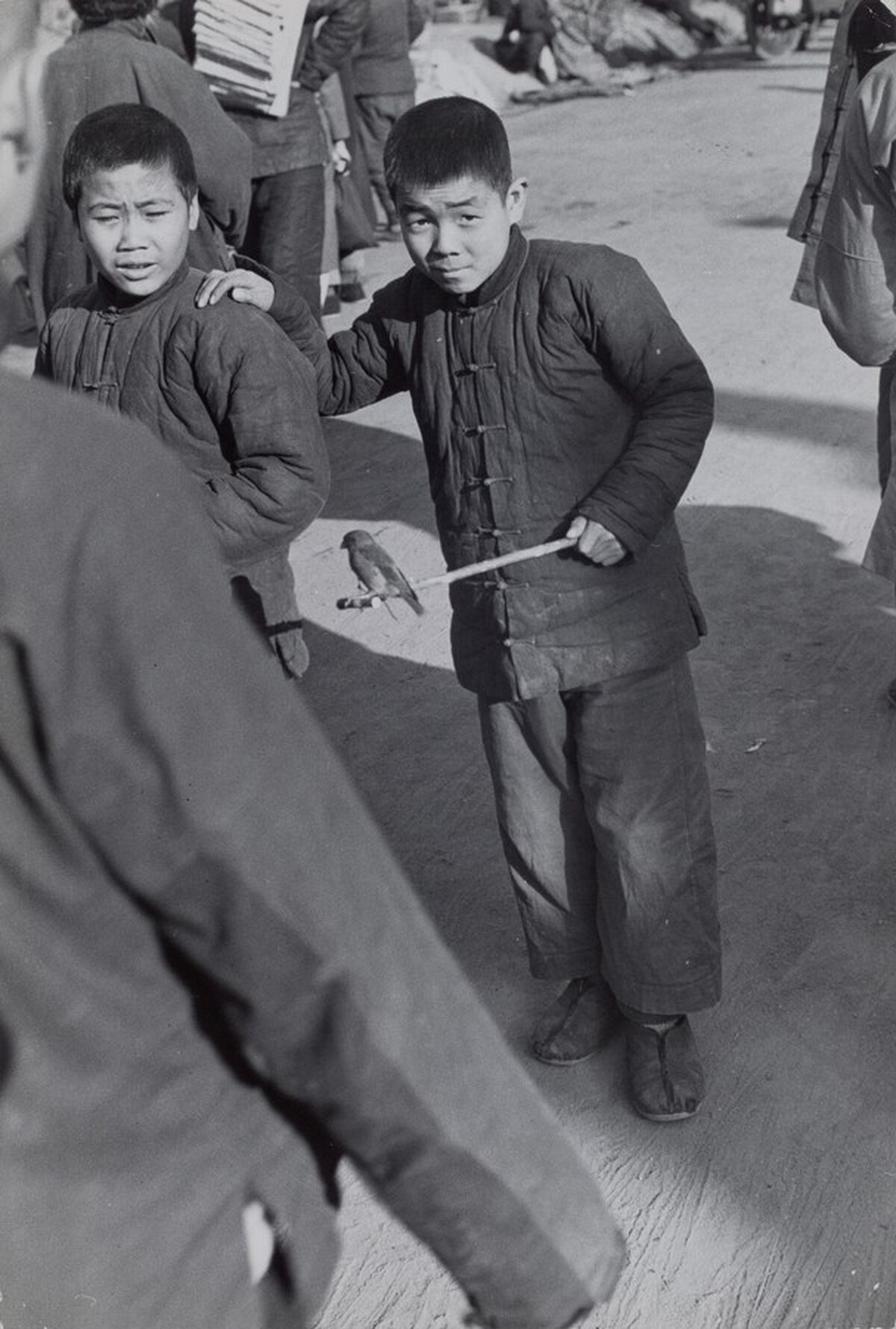 Buying and Selling Birds, Beijing, China
