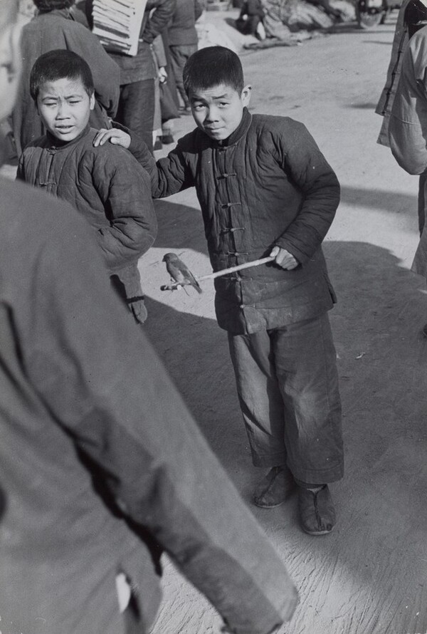 Buying and Selling Birds, Beijing, China