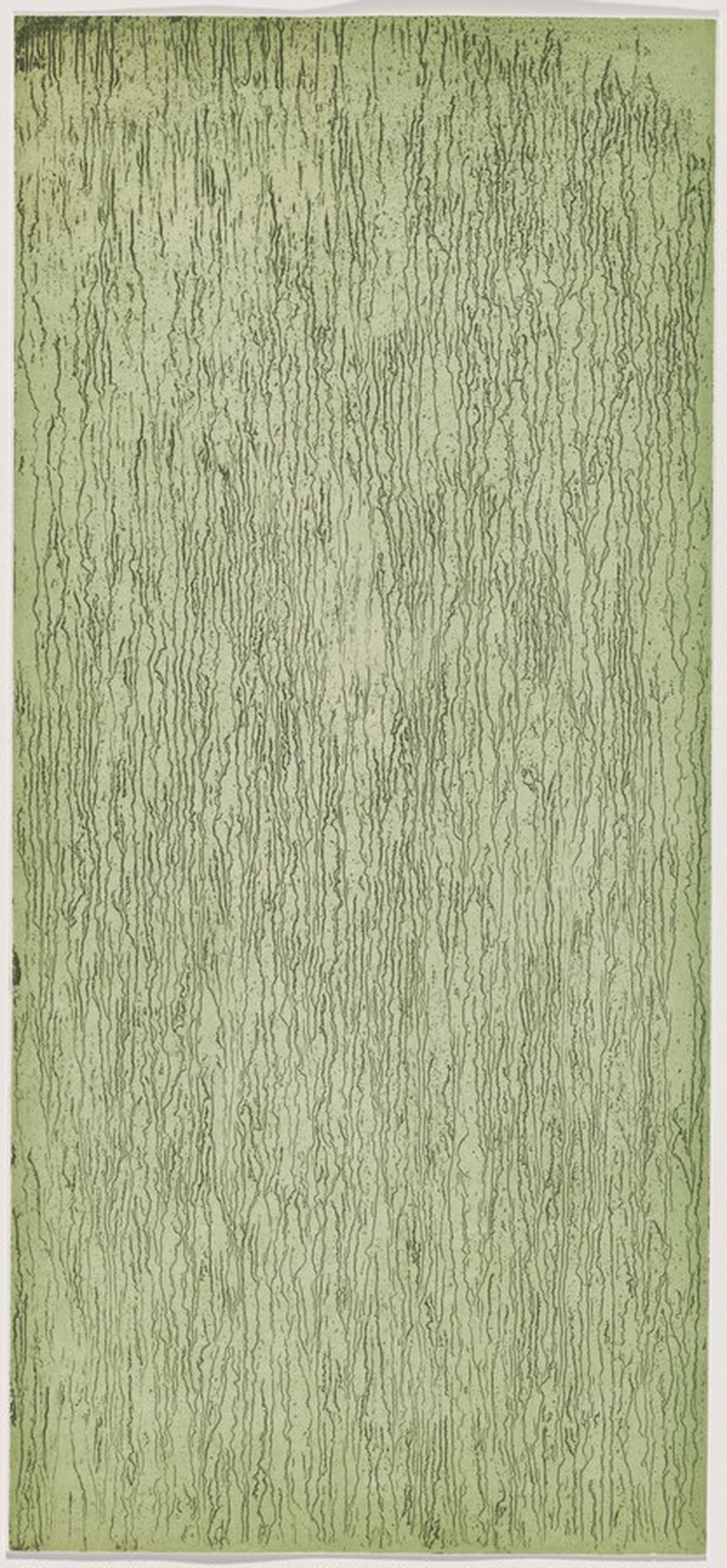 A Walk in the Woods [working proof 1 for Right Panel], Пэт Стейр, 2000