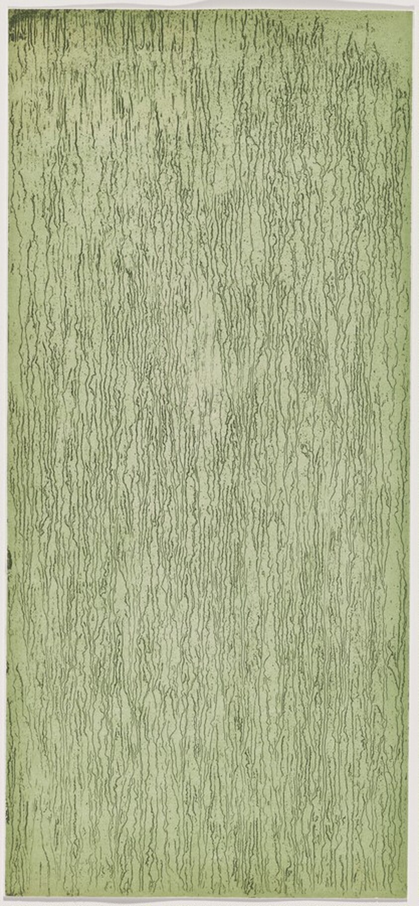 A Walk in the Woods [working proof 1 for Right Panel]