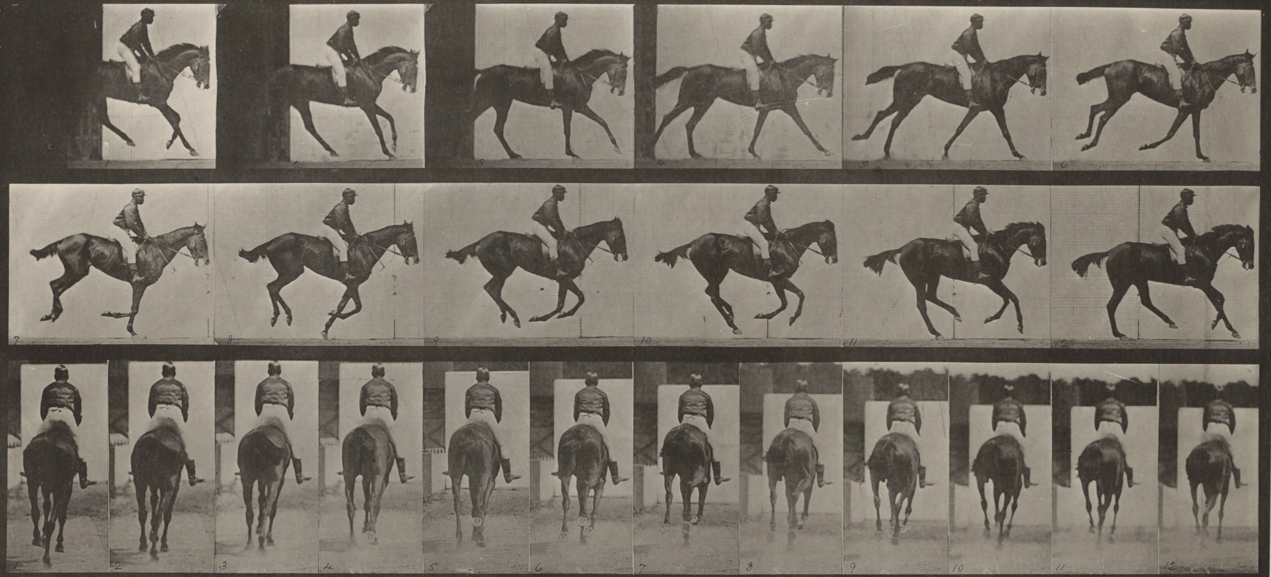 Plate Number 169. Jumping over boy's back (leapfrog) by Eadweard