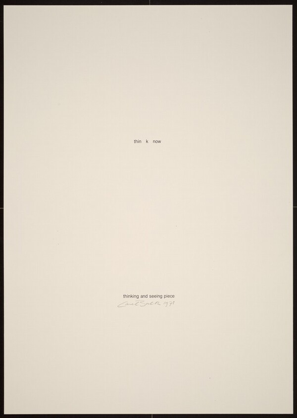 Thinking and Seeing Piece 2/3