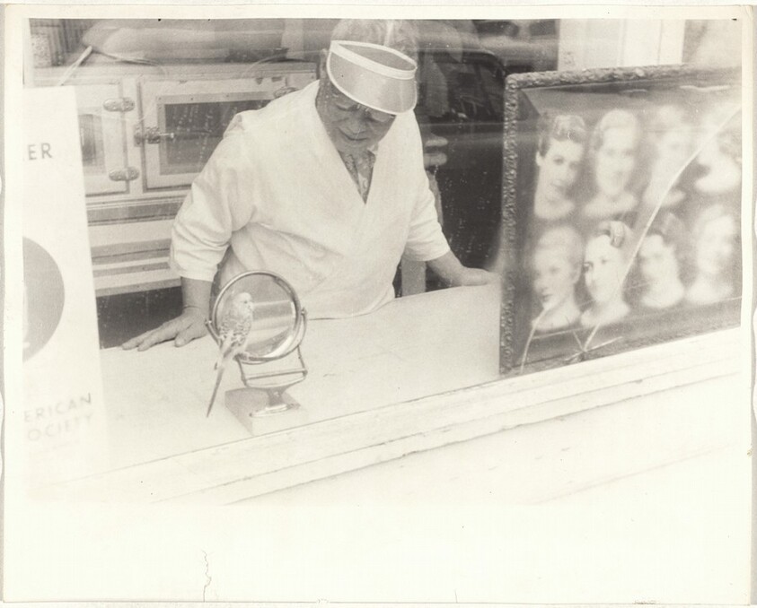 Man with parakeet--San Francisco