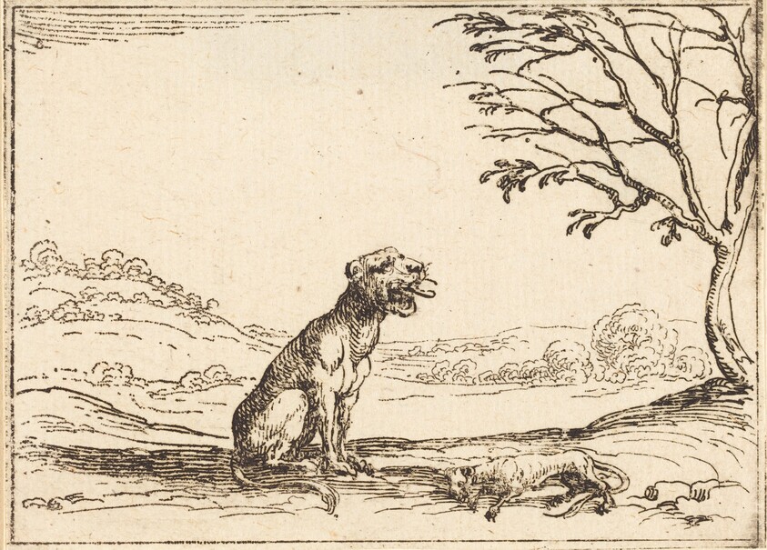 Lioness Mourning her Cub