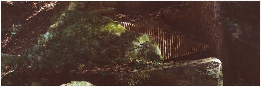 Clay/ Worked into a Stone/ Edges to Catch the Passing Light/ Government Island, Virginia