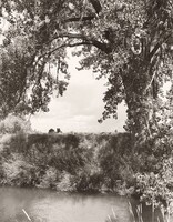 Irrigation canal, Larimer County, Colorado, Robert Adams, 1995