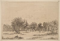 Orchard (Le Verger), James Ensor, 1886