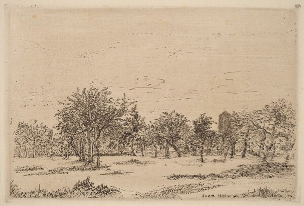 Orchard (Le Verger)
