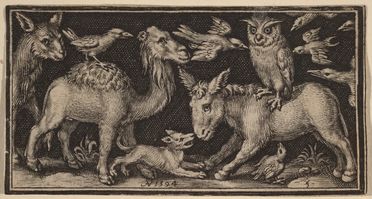 Owl on Back of Donkey, Bird on Back of Camel with Other Animals