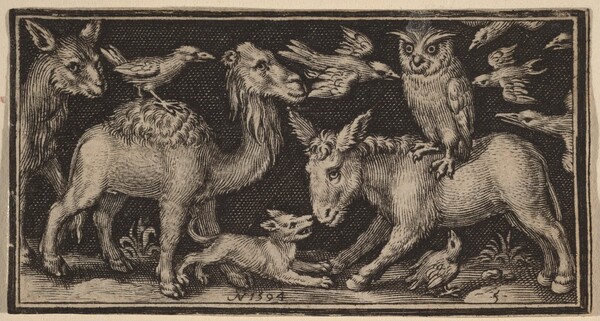 Owl on Back of Donkey, Bird on Back of Camel with Other Animals