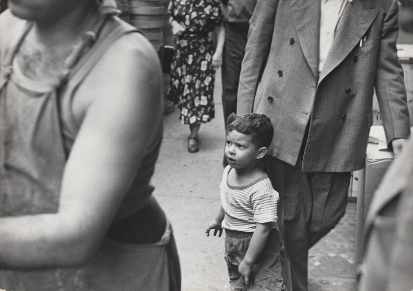 Georgie at Noon-Time