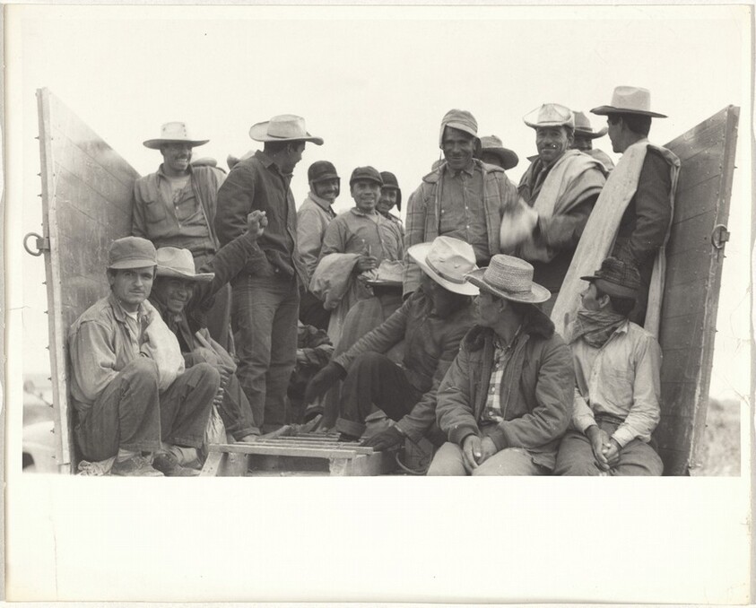 Cotton harvesters in truck--Arkansas