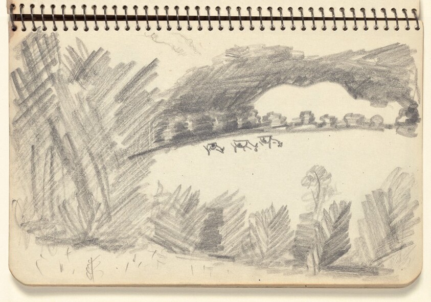 Cows Grazing on the Hill