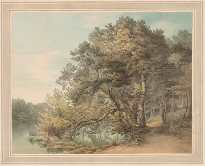 Peamore, Devon