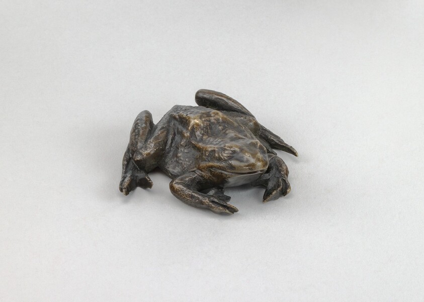 A Toad