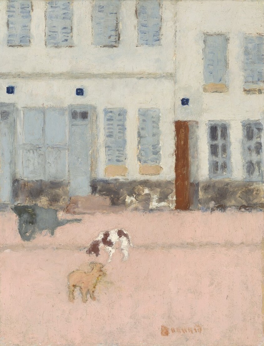 Two Dogs in a Deserted Street