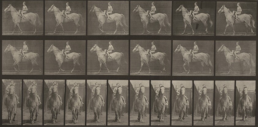 Plate Number 583."Tom" walking, saddled; female rider nude