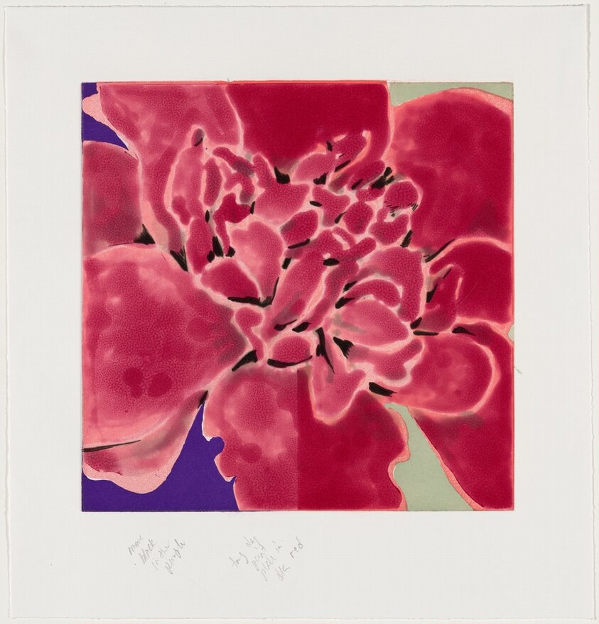 Camellia Red [working proof 4]