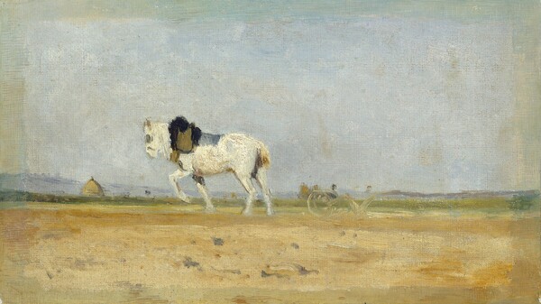 A Plow Horse in a Field