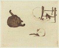 The Cats (Les chats), Edouard Manet, 1869