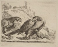Two Eagles with Tower in Background, Stefano Della Bella