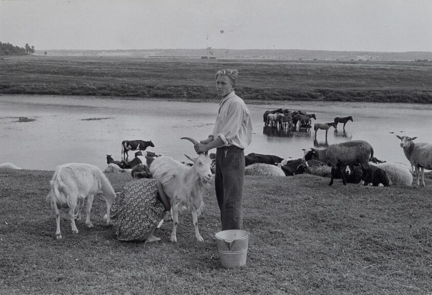 Young Pioneer Camp, Soviet Union